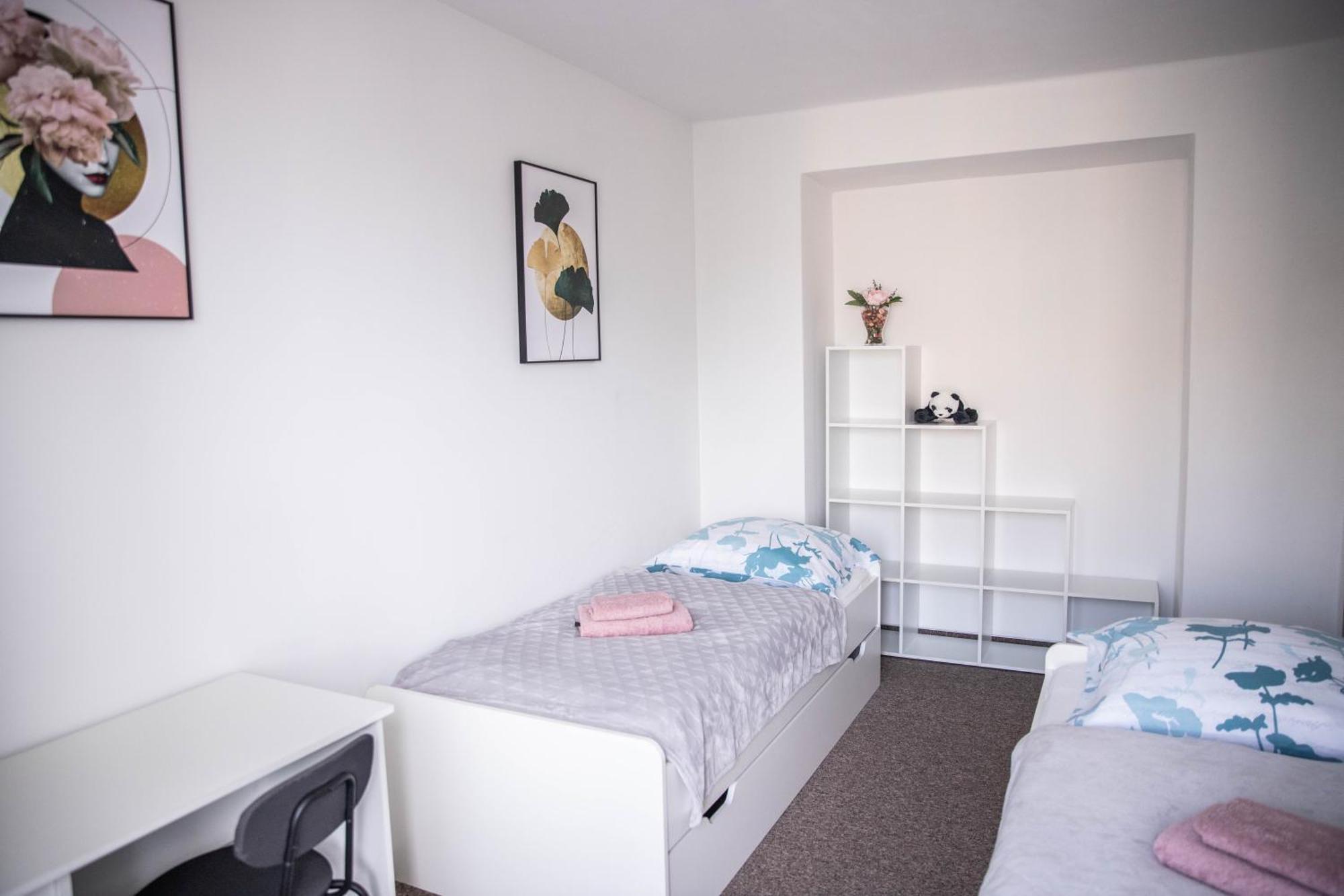 Prostorny Byt V Centru U Reky, 2 Loznice, Balkon Hradec Králové Exterior foto